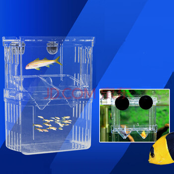 鱼苗繁殖 鱼卵孵化器 孔雀孵化盒 斗鱼孵化箱 锵