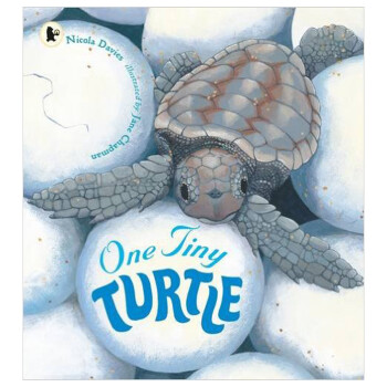 《【预售】One Tiny Turtle,一只小乌龟 英文原版