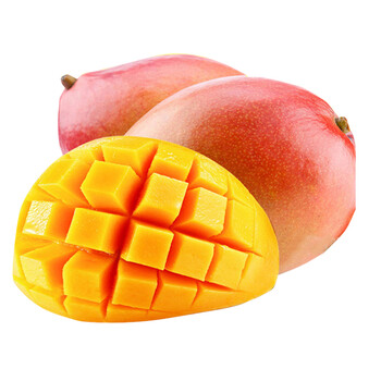 海南三亚 新鲜澳芒 澳芒水果 黄皮澳芒 凯特澳芒