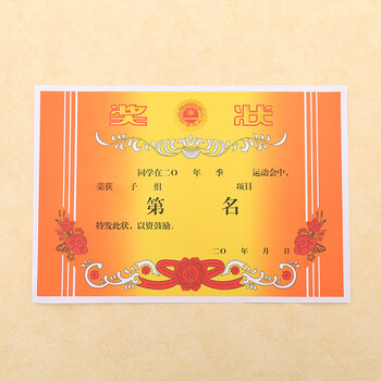 100张奖状纸a4 /16k/ 8开/三种可选择中小学生个人表扬表彰奖状六一