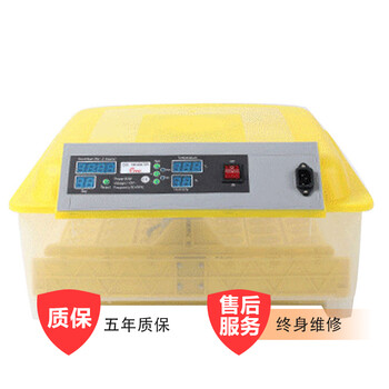 HHD 孵化机家用型小型小鸡孵化器鸡苗孵蛋器