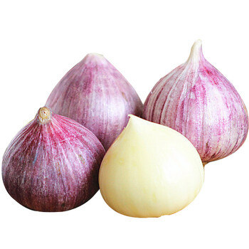 紫皮独头大蒜500克 独瓣红皮大蒜头鲜蒜 新鲜