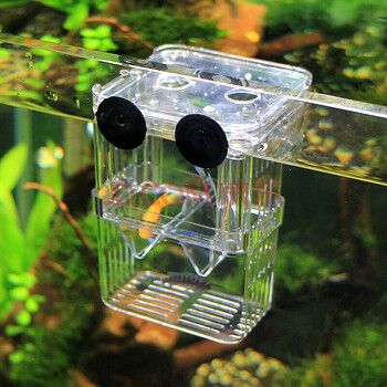 鱼苗繁殖 鱼卵孵化器 孔雀孵化盒 斗鱼孵化箱 锵