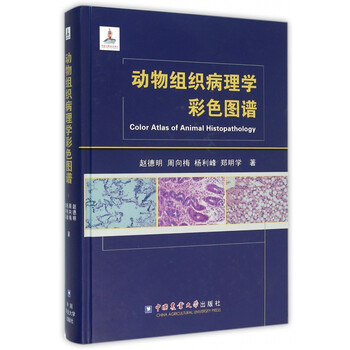 我国科大开发高精度AI确诊东西 猜测肝癌复发精确率为822%