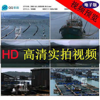 汕头视频教程渔业渔港实拍捕鱼渔排撒网渔船素word排版高清报纸图片