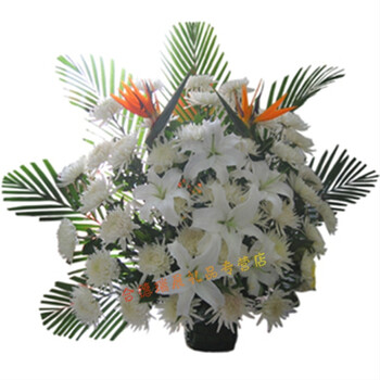 内江市中区东兴区威远资中隆昌蓬溪射洪大英沐