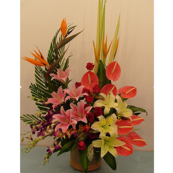 嘉鱼通城崇阳通山赤壁随州京山沙洋房县监利永