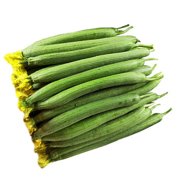 边界丝瓜新边界新鲜现摘蔬菜绿皮25kg茄果瓜类