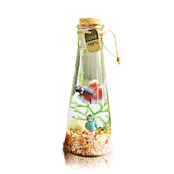 绿伴LB16泰国斗鱼瓶迷你小型金鱼孔雀鱼斗鱼