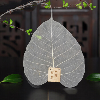 兆禾菩提叶子茶滤书签公道杯过滤网菩提叶树叶茶漏天然植物茶滤茶汤