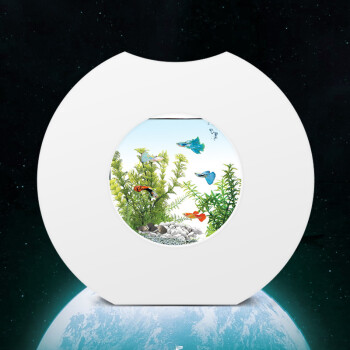 喜高月牙创意桌面鱼缸小型生态迷你办公家用玻