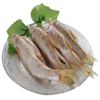 爱食派 洪泽湖鲜冻马鲫鱼 500g*2 袋装 鲜冻