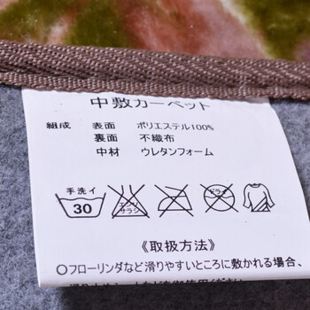 
                                        萩原家纺 布艺软饰茶几客厅地毯 休闲家具卧室地垫地毯 图片色 200cm*250cm                