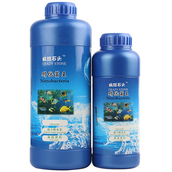 疯狂石头硝化细菌液体水族鱼药水质稳定剂鱼缸