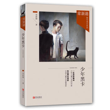《正版 少年黑卡 常新港励志成长系列获儿童文