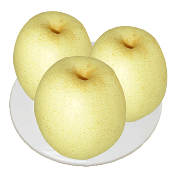 晚秋黄梨 5斤 单重约5两 蜜梨 梨子 产地直发B