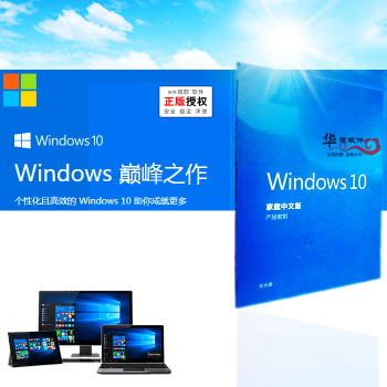 微软原装正版系统Win 10家庭版\/中英文系统U盘