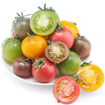 天天果园旗舰店