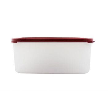 特百惠Tupperware MM长方2号2件套 干货储藏保鲜盒 4.3L每个