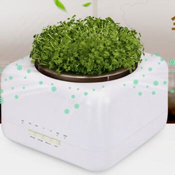 天然植物空气净化器加湿器迷你家用办公室负离子氧吧除甲醛杀菌PM2.5二手烟