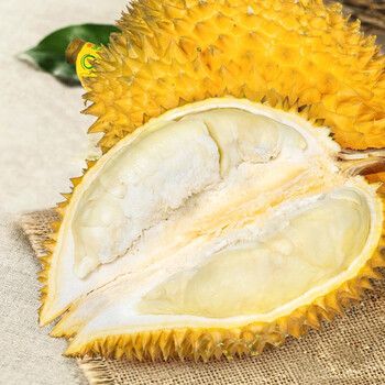 【天天果园】泰国金枕头榴莲 1个装(5-6斤) 进