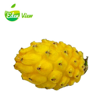EdenView】优选精品麒麟果 燕窝果 黄火龙果