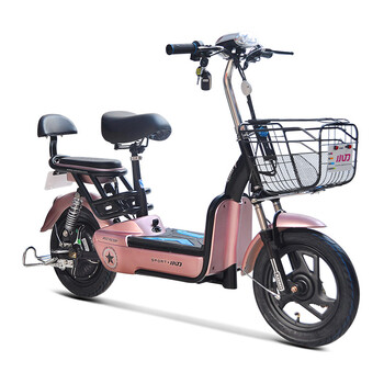 小刀电动车 电动自行车48V12AH博士电机电瓶