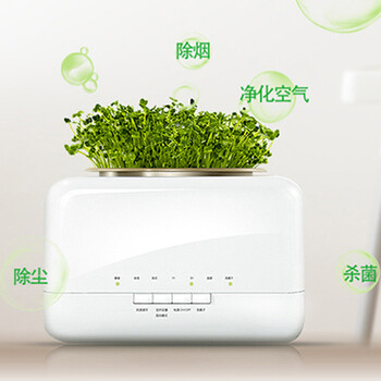 天然植物空气净化器加湿器迷你家用办公室负离子氧吧除甲醛杀菌PM2.5二手烟