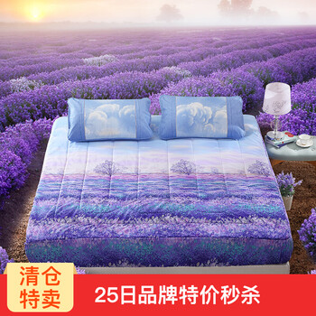 
                                        LOVO家纺 罗莱生活出品床垫爱在普罗旺斯全棉床护垫床褥子 爱在普罗旺斯全棉床护垫 180cm*200cm                