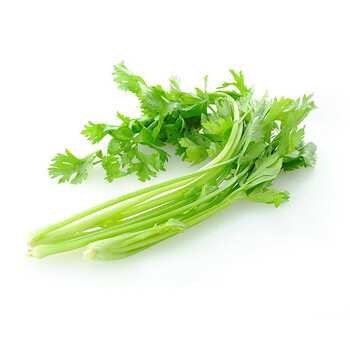 爱农 北京昌平蔬菜基地 香芹 500g