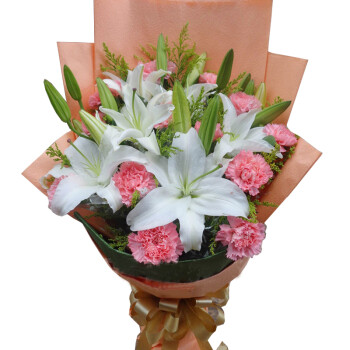 母亲节鲜花粉色康乃馨花束红色康乃馨鲜花礼盒 生日鲜花礼物 送妈妈