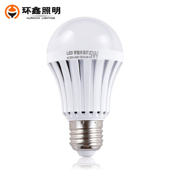 环鑫 LED灯泡E27螺口应急照明夜市灯泡地摊照明可充电 应急灯泡 5W