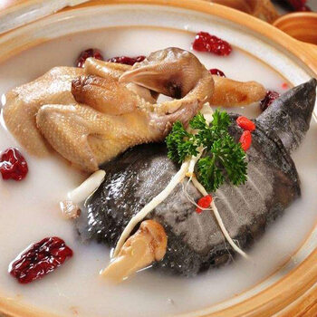 农谣传统名菜沉鱼落雁鸽子肉乳鸽炖甲鱼生鲜杀前总重约1000g左右各
