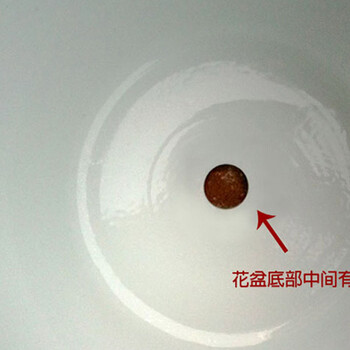 
                                        瓷物语 青花瓷金鱼缸乌龟缸落地大号鱼缸摆件 睡莲居家实用景德镇制 直径53厘米                