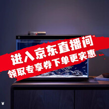 355元 包邮 MIJIA 米家 鱼缸+画法几何枯木风造景