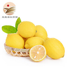 PLUS会员：5.9元包邮  吉广鲜 四川安岳柠檬500g*5