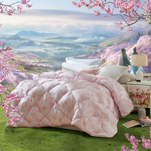 99元包邮  LOVO罗莱生活出品 春秋被 被子被芯单双人四季被 200*230cm