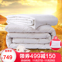 749元包邮 FUANNA 富安娜 柔暖蚕丝羊毛二合一厚被 第二代 1.8m+送枕头
