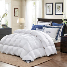 599元包邮 SOMERELLE 安睡宝 抗菌白鸭绒双人被 200*230cm（填充1.15kg）