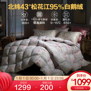 1099元包邮   水星家纺  鹅绒抗菌保暖冬被 220*240cm （95%白鹅绒）