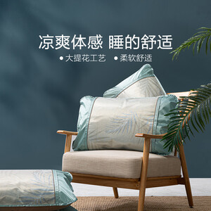 19.5元包邮 水星家纺 冰丝对枕套2个