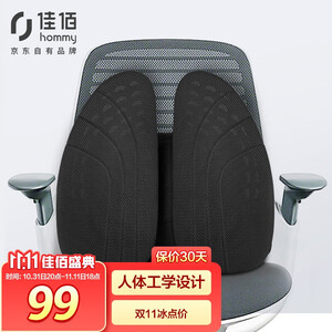 99元包邮  佳佰 人体工学腰垫 （可调节）