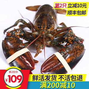 神价格：430元包邮 SHANGZHI 尚致 波士顿大龙虾 450-550g*4只+900-1000g*4只