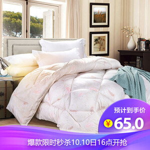 20点：65元   雅鹿·自由自在  保暖棉被秋冬天  2*2.3米 6斤