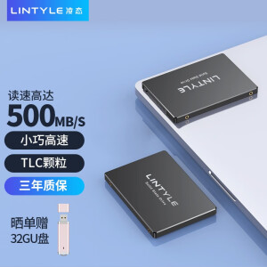 79元包邮 LINTYLE 凌态 SSD固态硬盘 256GB