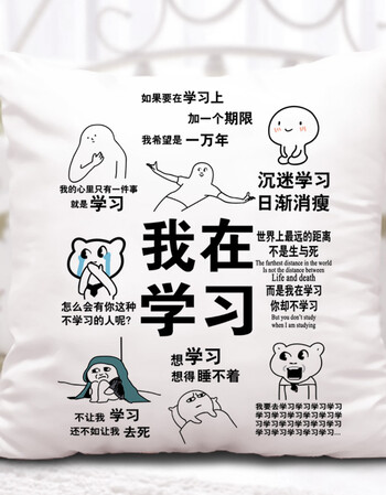 阿坡饵我爱学习抱枕沉迷学习表情包靠垫动漫搞笑装逼利器学生送礼品