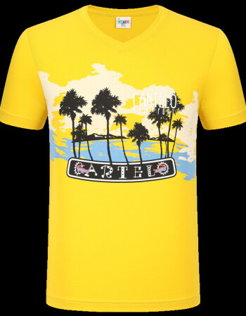 丝光棉短袖t恤修v领时尚休闲海洋沙滩旅游男装体恤衫