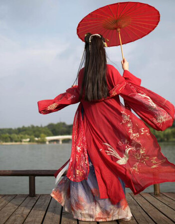 司南|阁 赤帝子 汉服大红绣花彼岸花对襟襦裙大袖衫魏晋风大袖衫 仅