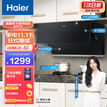 海尔（Haier）抽油烟机 侧吸式吸油烟机 20m³/min大吸力420pa挥手智控高频自旋洗京东小家C10SU1