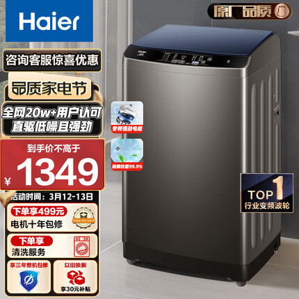 海尔（Haier) 波轮洗衣机全自动家电 以旧换新 脱水机内衣除螨 10公斤直驱变频 租房神器EB100B20Mate1